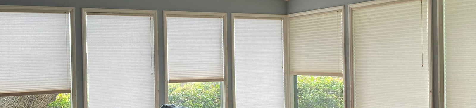 Cellular Window Shades for Living Room in Alamo
