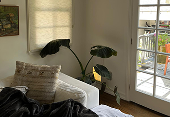 Contemporary living space adorned with roller fabric shades